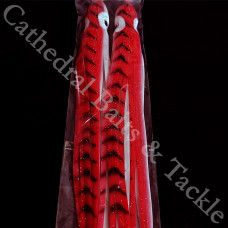 10" Monster Muppets pack of 2 Tiger Red